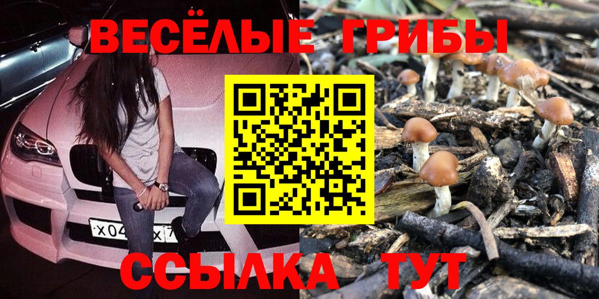 Галлюциногенные грибы мухоморы  Галлюциногенные грибы мицелий  Сочи  Вход с VPN 